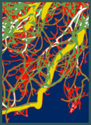 Coloured Branch and Twigs V3